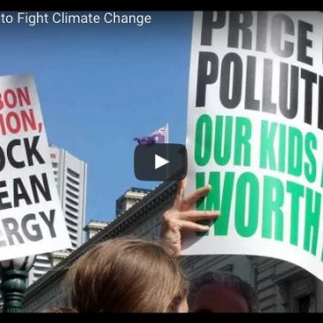 Video: Putting a Price on Carbon